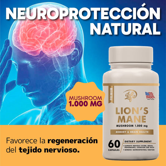 gid://shopify/MediaImage/24663082532958